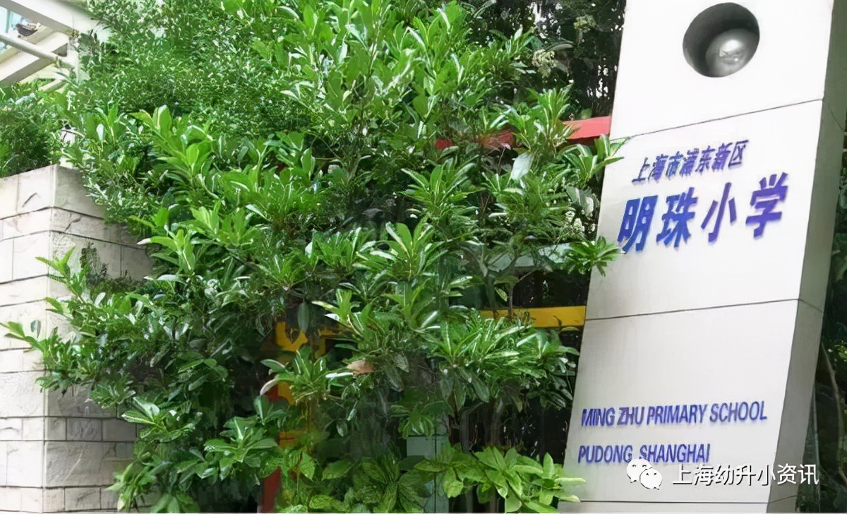 为什么上海明珠小学这么厉害,上海明珠小学