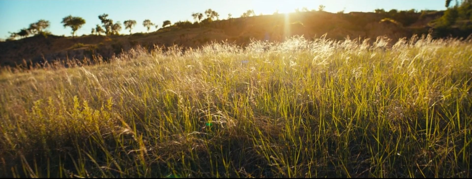 潘粤明被怼视频大全,鬼吹灯之云南虫谷电视剧潘粤明