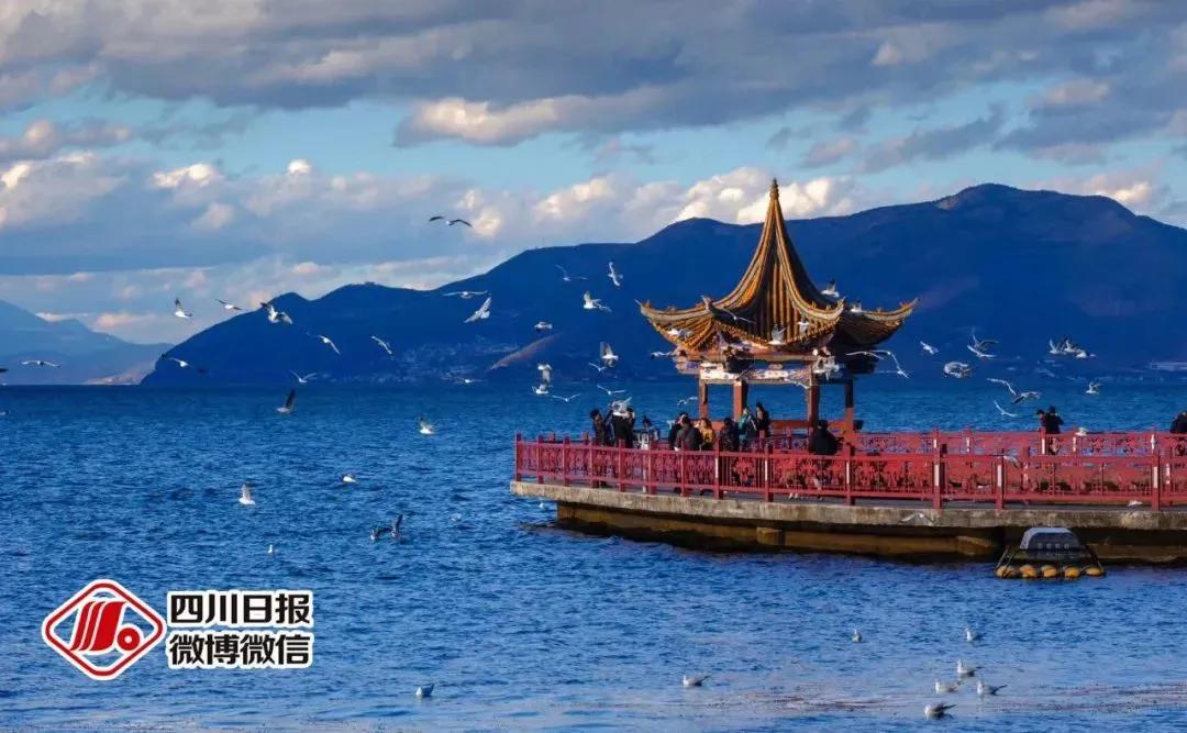 成都到深圳高铁开通,成都到深圳首列高铁