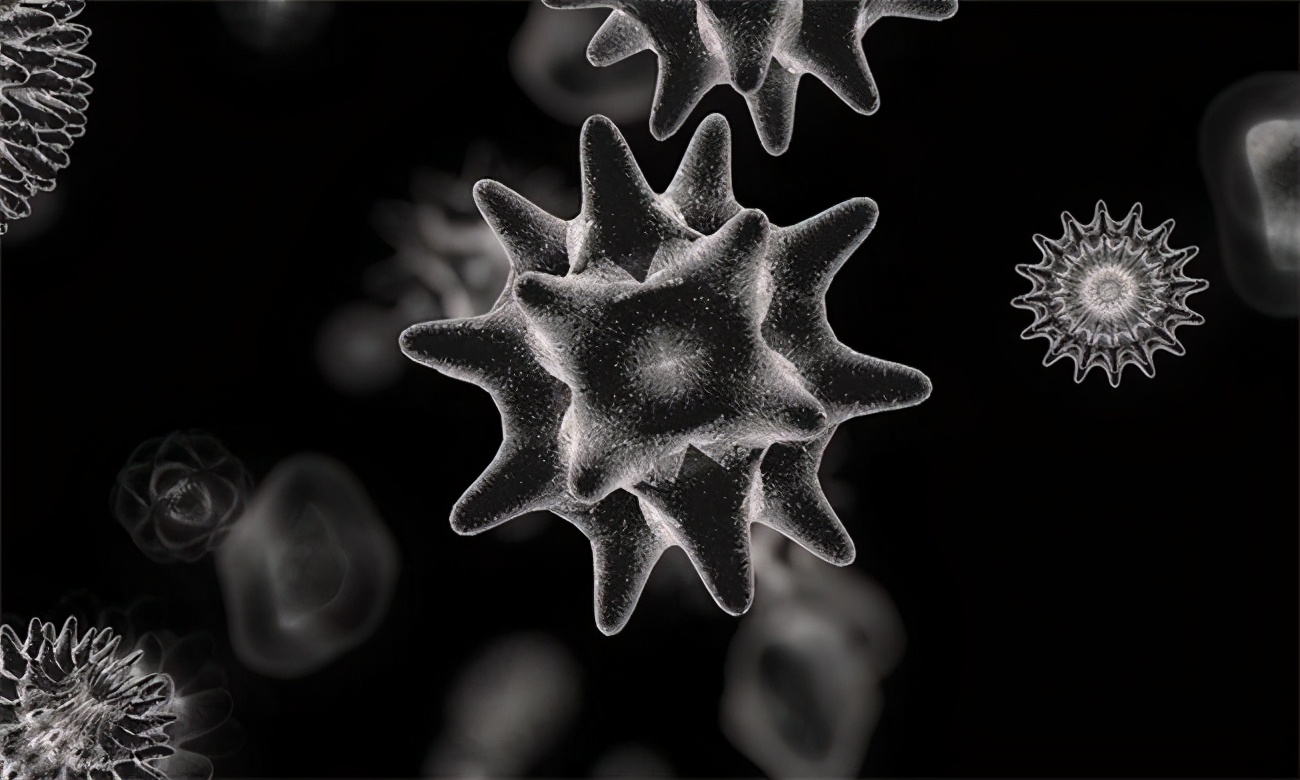 大批印度难民涌入美国怎么过去的,大量印度疫情难民涌向美边境