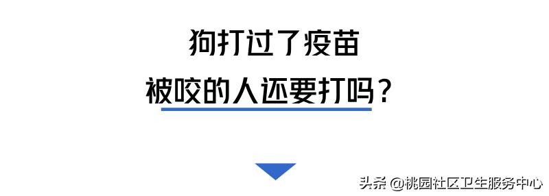 如被猫狗咬伤或抓伤应如何处理,被猫狗咬伤在多少小时之内打疫苗