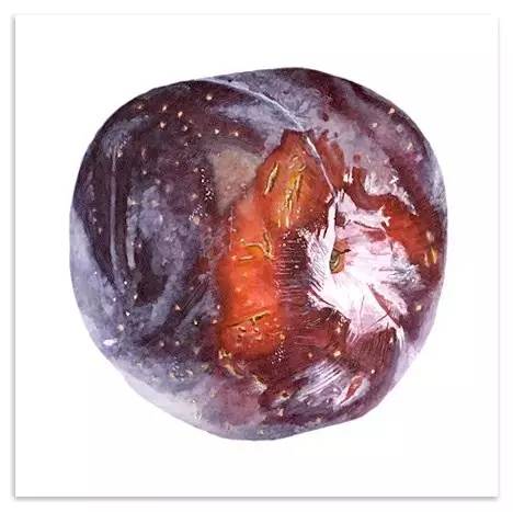 超写实绘画真实吗,超写实的植物绘画