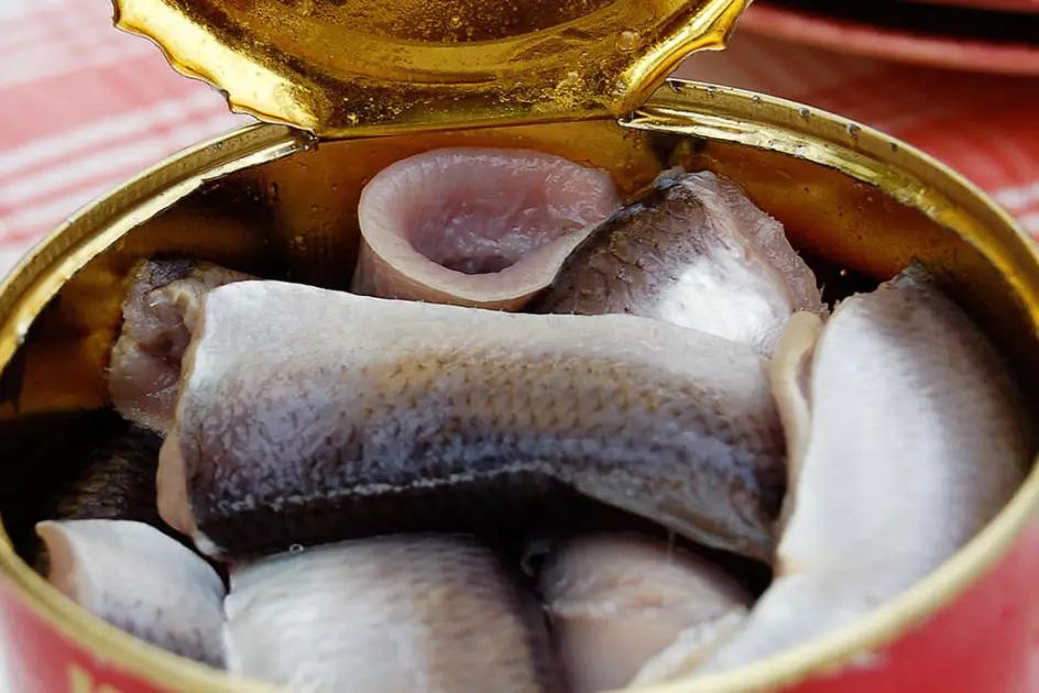 椋熺勃鑰呬笉鍏ヤ镜,椋熶箣鏃犺嚟寮冧箣鍙儨