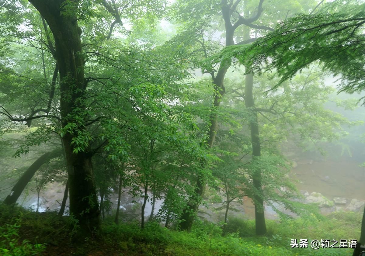 五角山航拍,五角地带