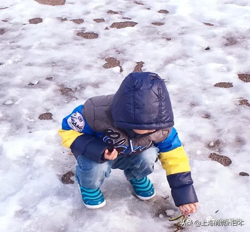 申请永居材料,申请永住权证条件
