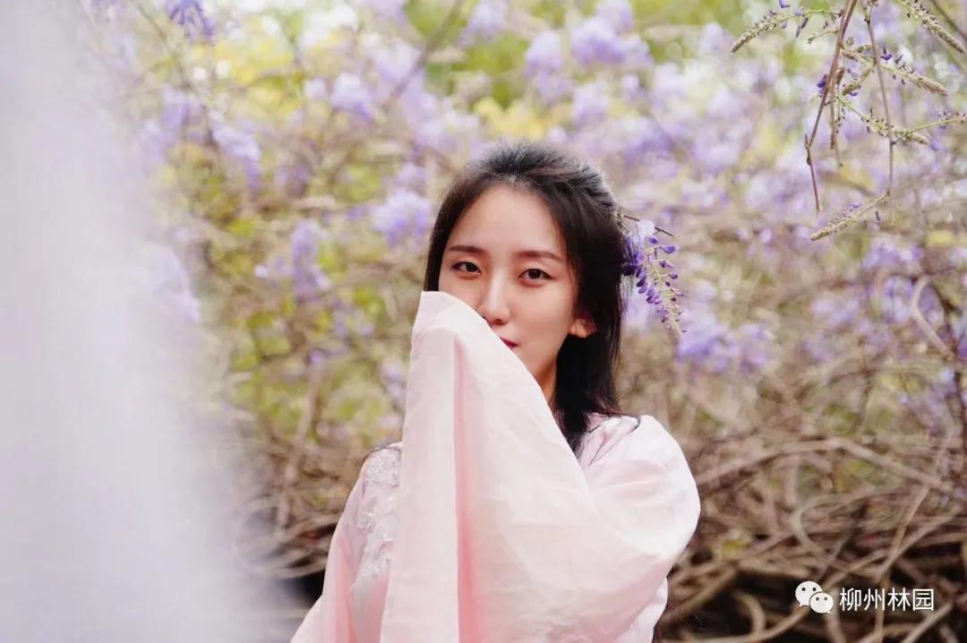 柳州柳侯公园有什么景物,柳州柳侯公园值得打卡