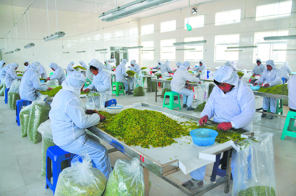 巨野麒麟之乡图片,巨野麒麟之乡