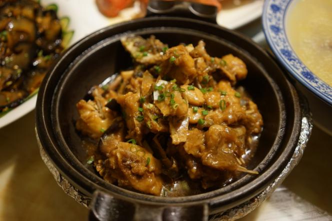 一定是特别的缘分——帕劳，再遇见「周若雪Patty」·上