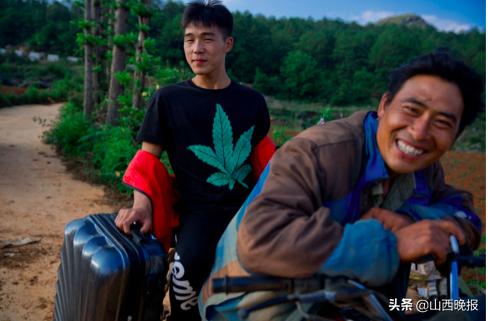 香甜的雪莲果,好吃的雪莲果哪里找