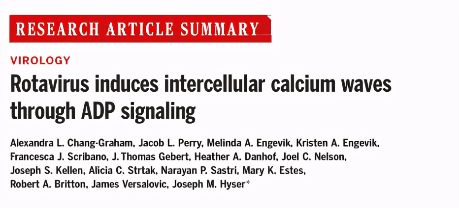 轮状病毒腹泻的科普,轮状病毒腹泻案例分析