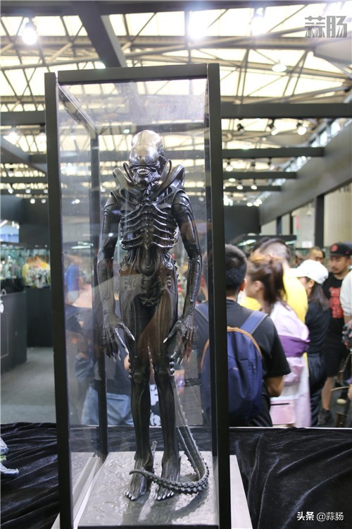 wf手办展飞天,wf上海限定手办