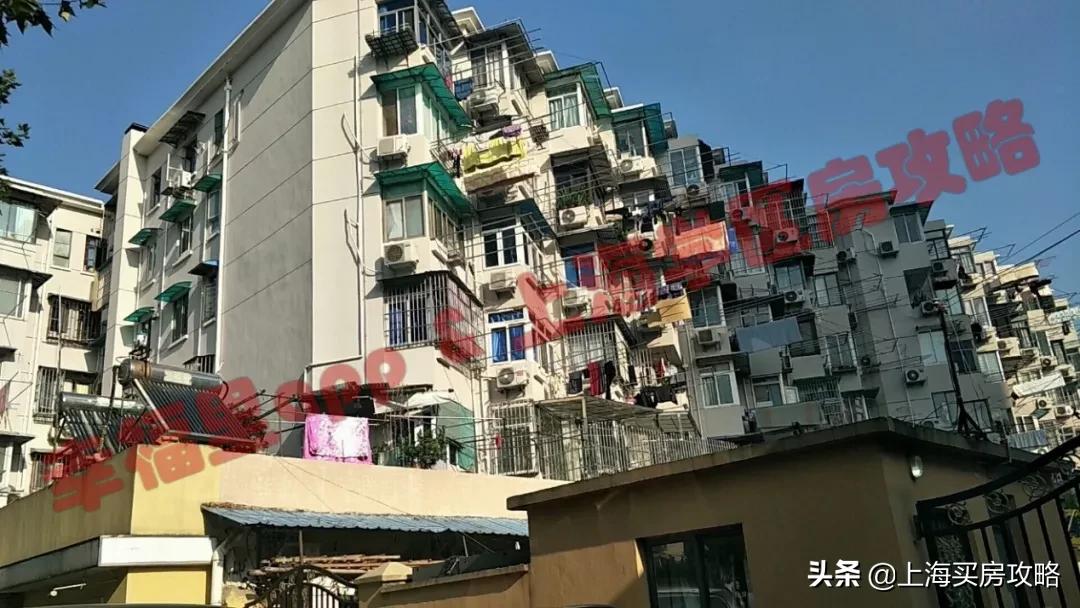 全市稀缺的优质公立双学区!被低估的北区王者!闸北实验小学测评