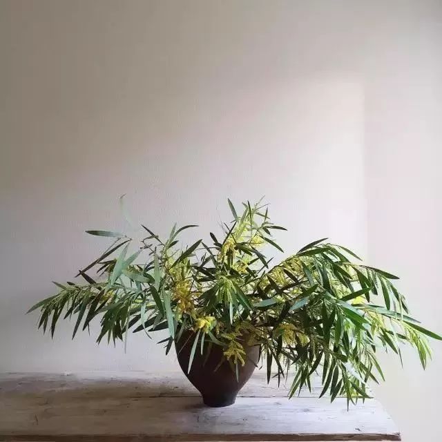 买回来的一束花如何插花,下班路上买一束花然后试着插花