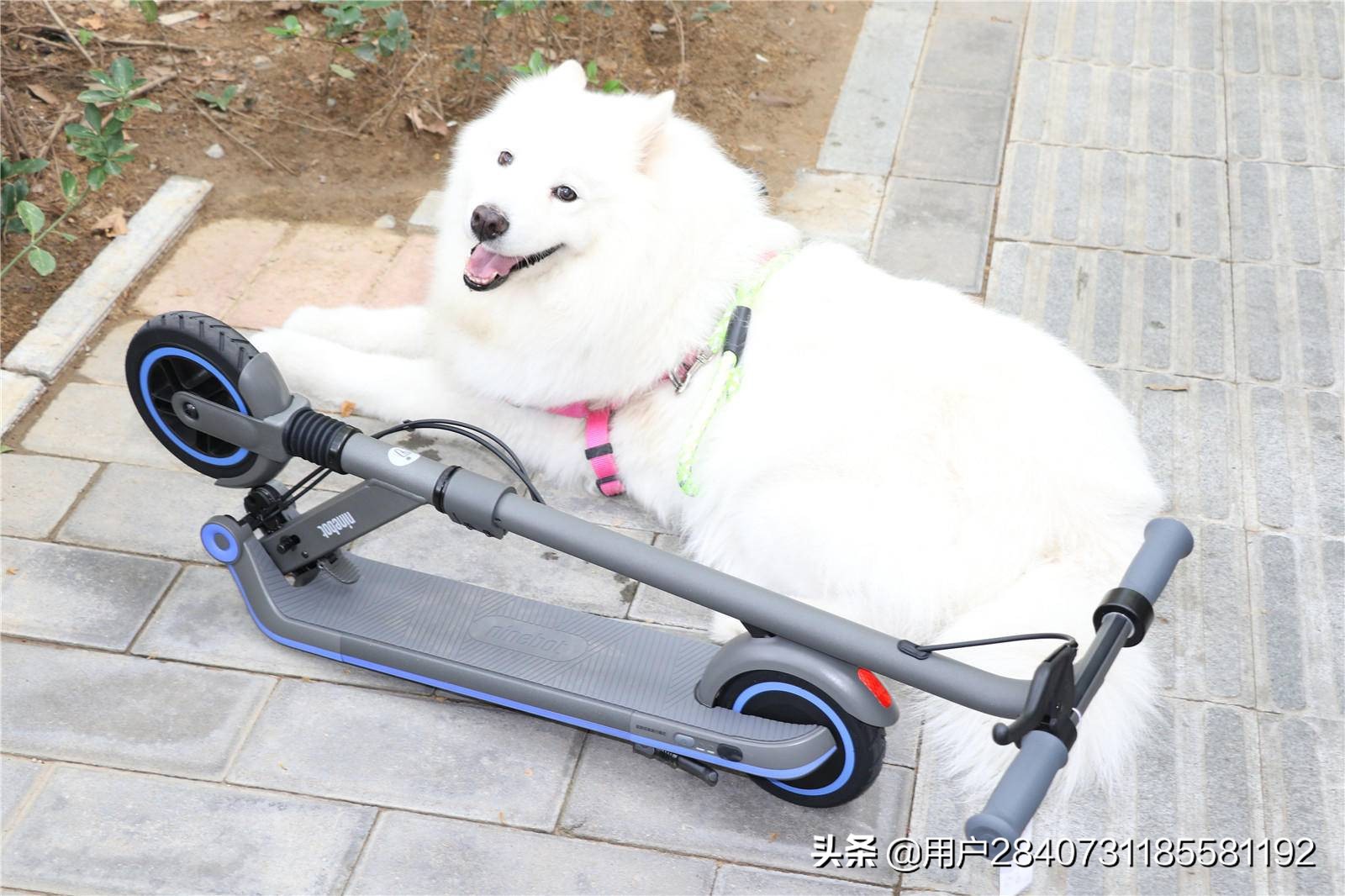 九号儿童滑板车c10怎么骑,九号儿童电动滑板车怎么选