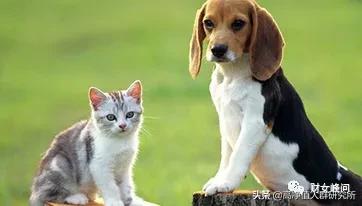 后浪，你一定要了解的下一个高净值群体的主流