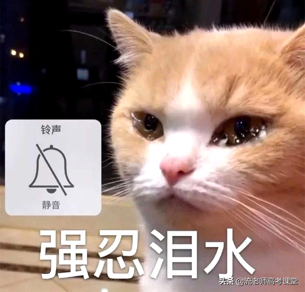 考不上二本读哪些学校,高考考不上还可以在本校复读吗