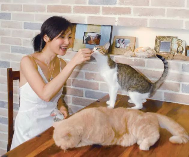 万绮雯吕颂贤枪神,吕颂贤万绮雯情感经历