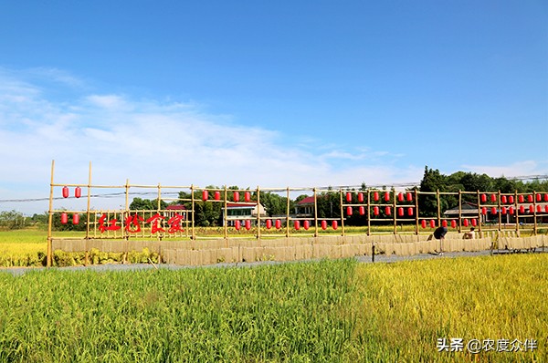 资阳田园乡村旅游景点,湖南省益阳市桃江县美丽乡村