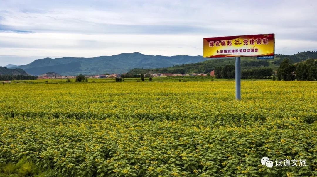 草莓小镇冬季去哪玩,草莓小镇中国园