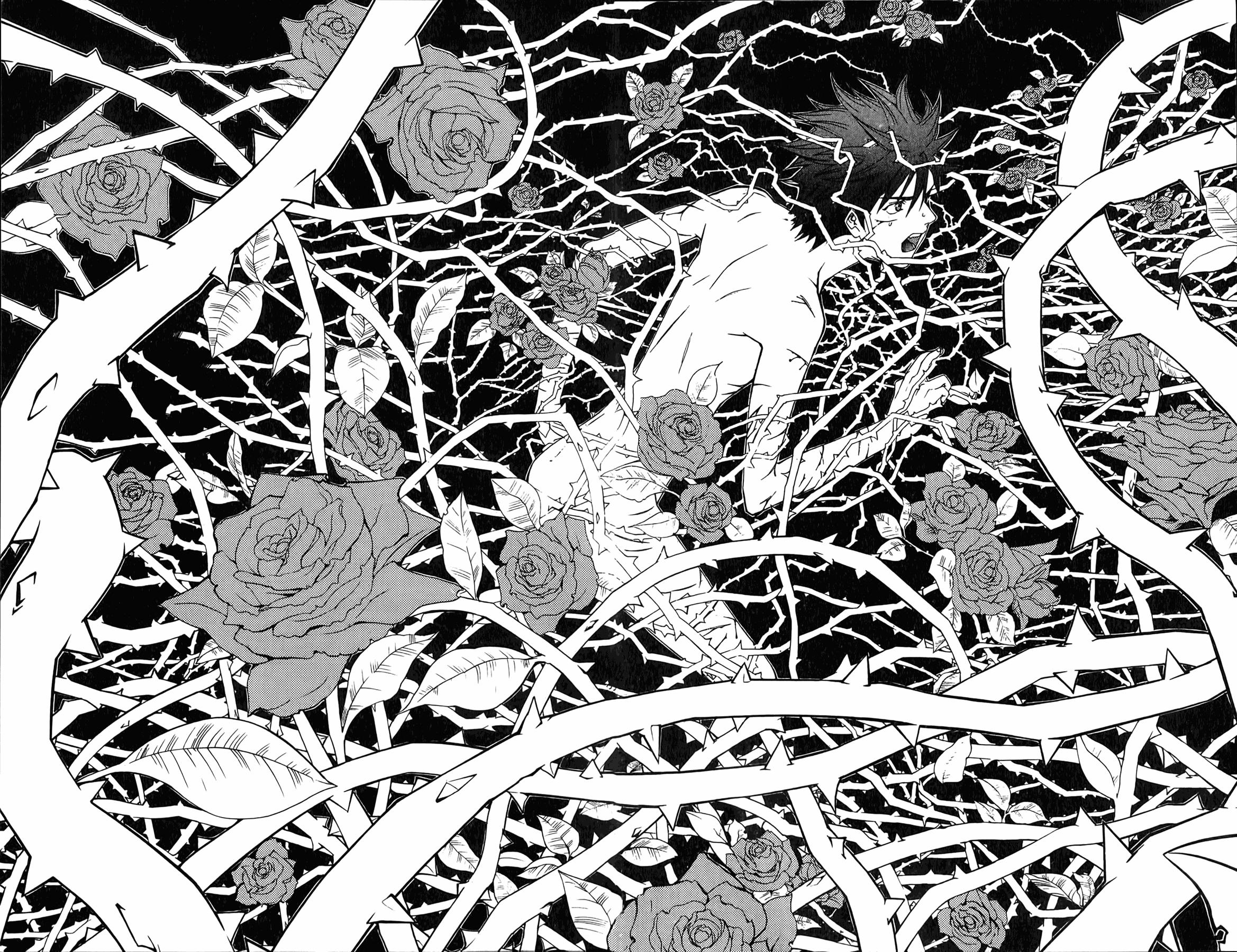 海贼王和火影忍者到底哪个好看,海贼王人物形象的对比