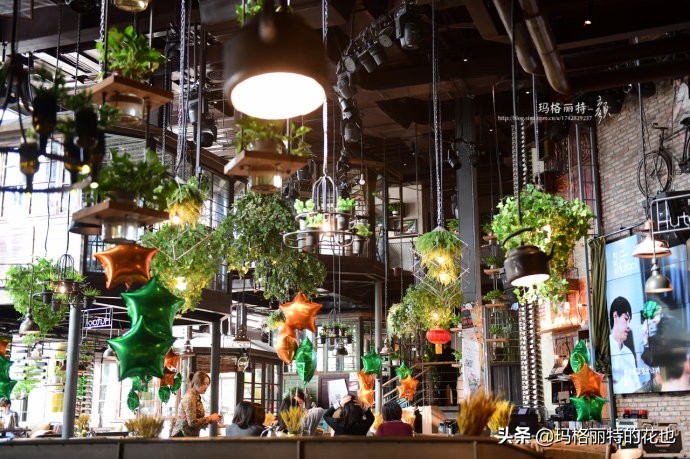 网红餐厅“胡桃里”的绿植布置|行摄