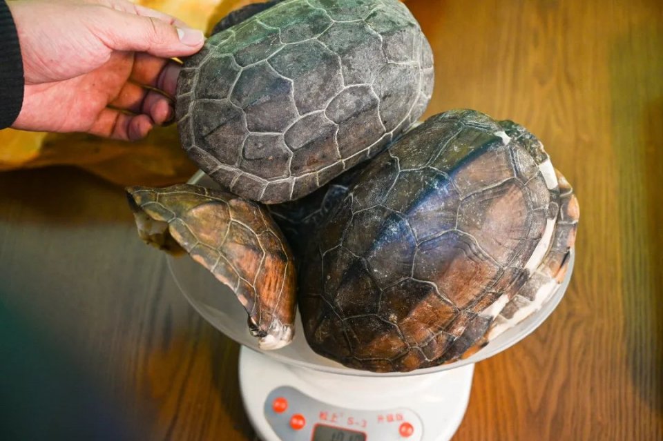 纯手工制作美食甜品,网红甜品推荐前十名制作方法