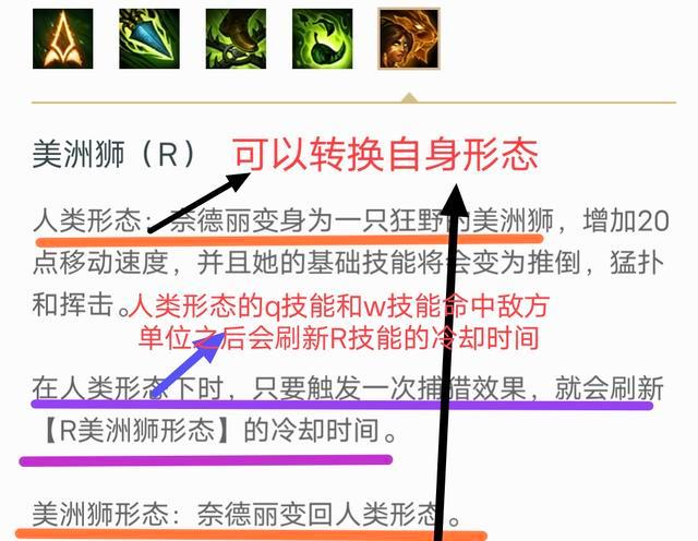 lol豹女有多厉害,lol增强与削弱