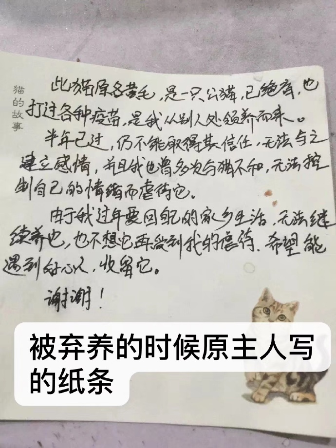 发布领养狗的朋友圈,发布宠物领养文字