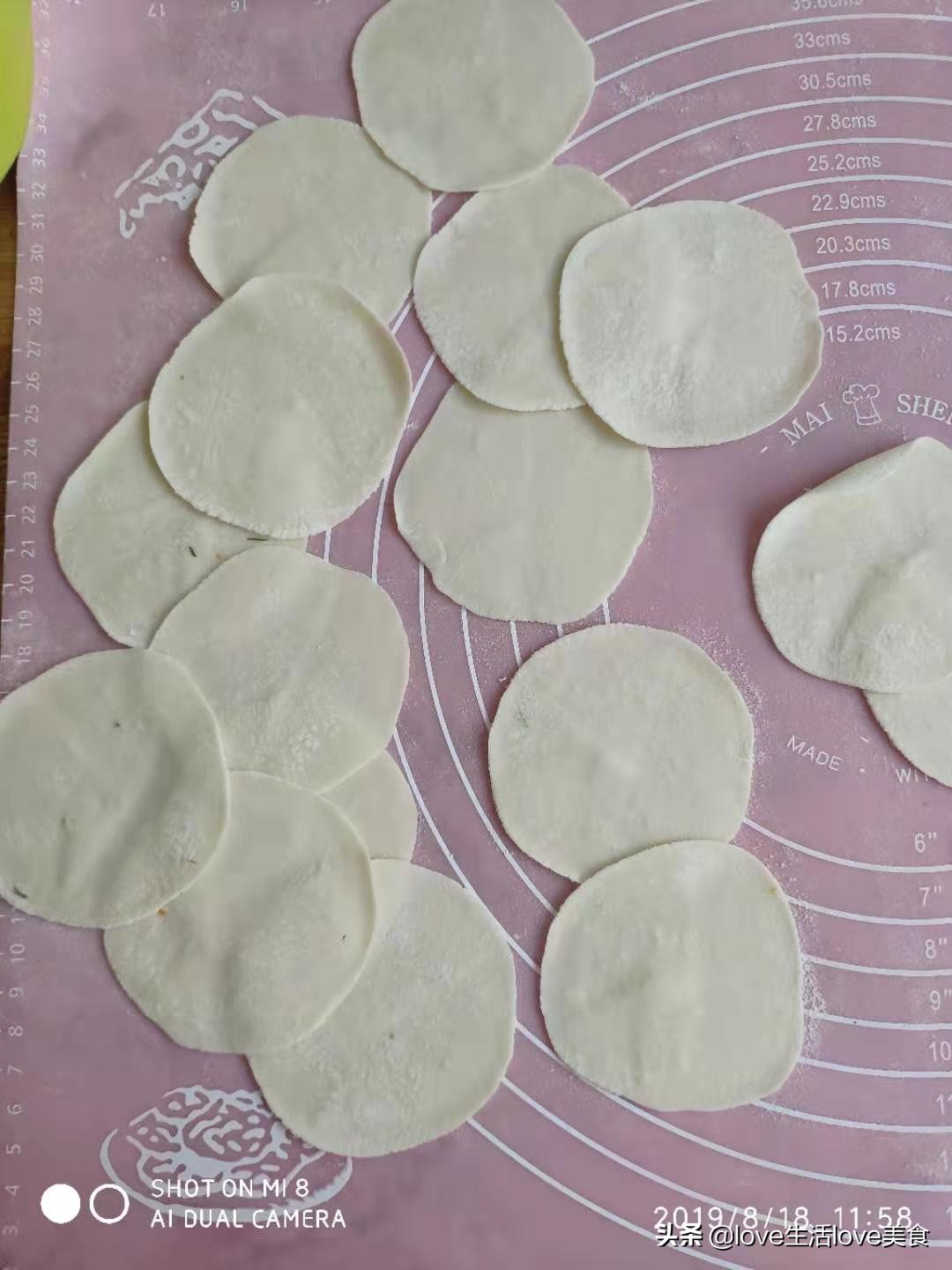 素馅煎饺的正宗做法,素馅煎饺好吃到停不下来