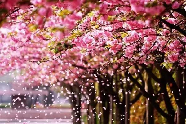 四川这座隐匿千年的古城,四川这座隐藏在喧闹中的千年古镇