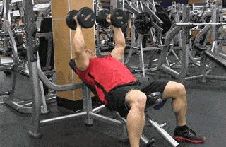 杠铃卧推和哑铃哪个更好拉伸胸肌,练胸肌最好用器械还是哑铃