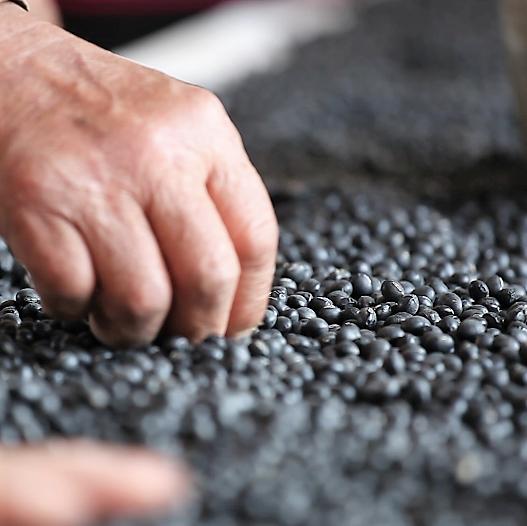 豆酱味道太大了,一瓶黄豆酱