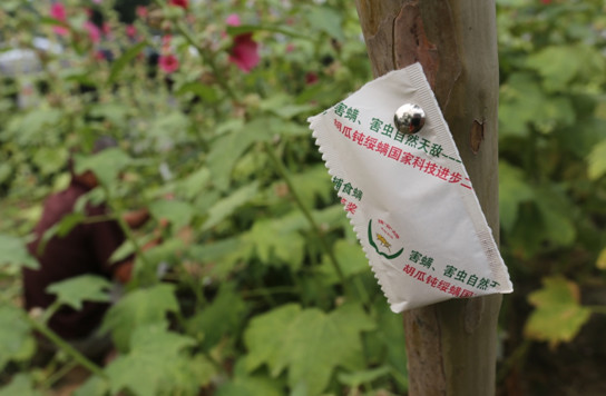 农作物地下害虫防治方法,农作物害虫的防治方法有哪些