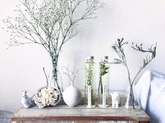 她用这种高颜值的干花装饰家里，隔壁邻居都惊叹不已