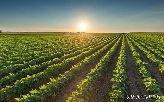 地球知识局俄罗斯,地球知识局俄罗斯远东