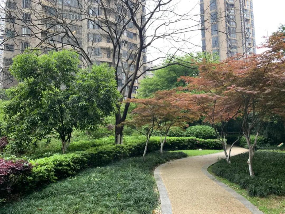 老城中的“奇葩”！这个经典盘的价值有没有被低估？