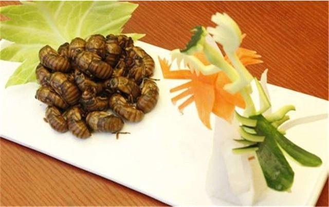 今年知了猴还能吃吗,野生动物保护法知了猴还能吃吗