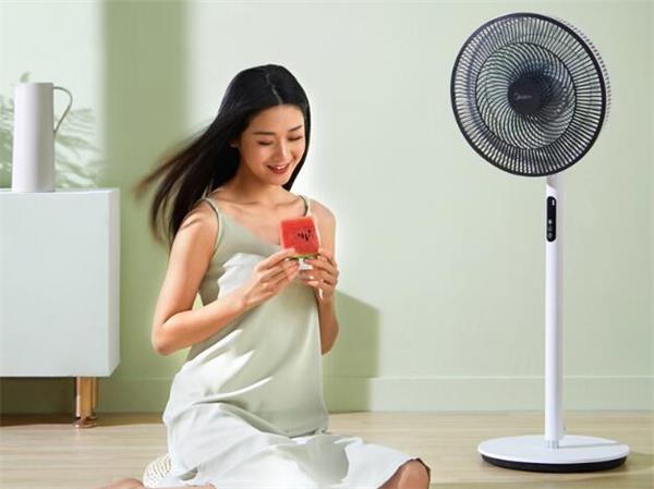 口碑最好的三款电风扇品牌,口碑最好的三款电风扇排名