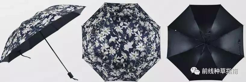 动物防晒VS人类防晒,食物链顶端的我们居然败了?!