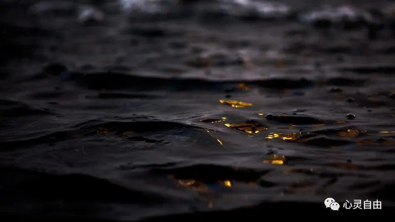 一个普通人离杀人有多远——梁文道讲《路西法效应》