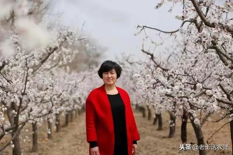 姚玉琪：坚守营销的本质方能为王