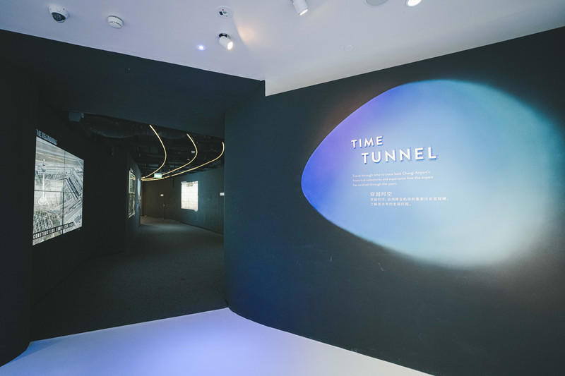 一人一猫环游,一人一猫旅行