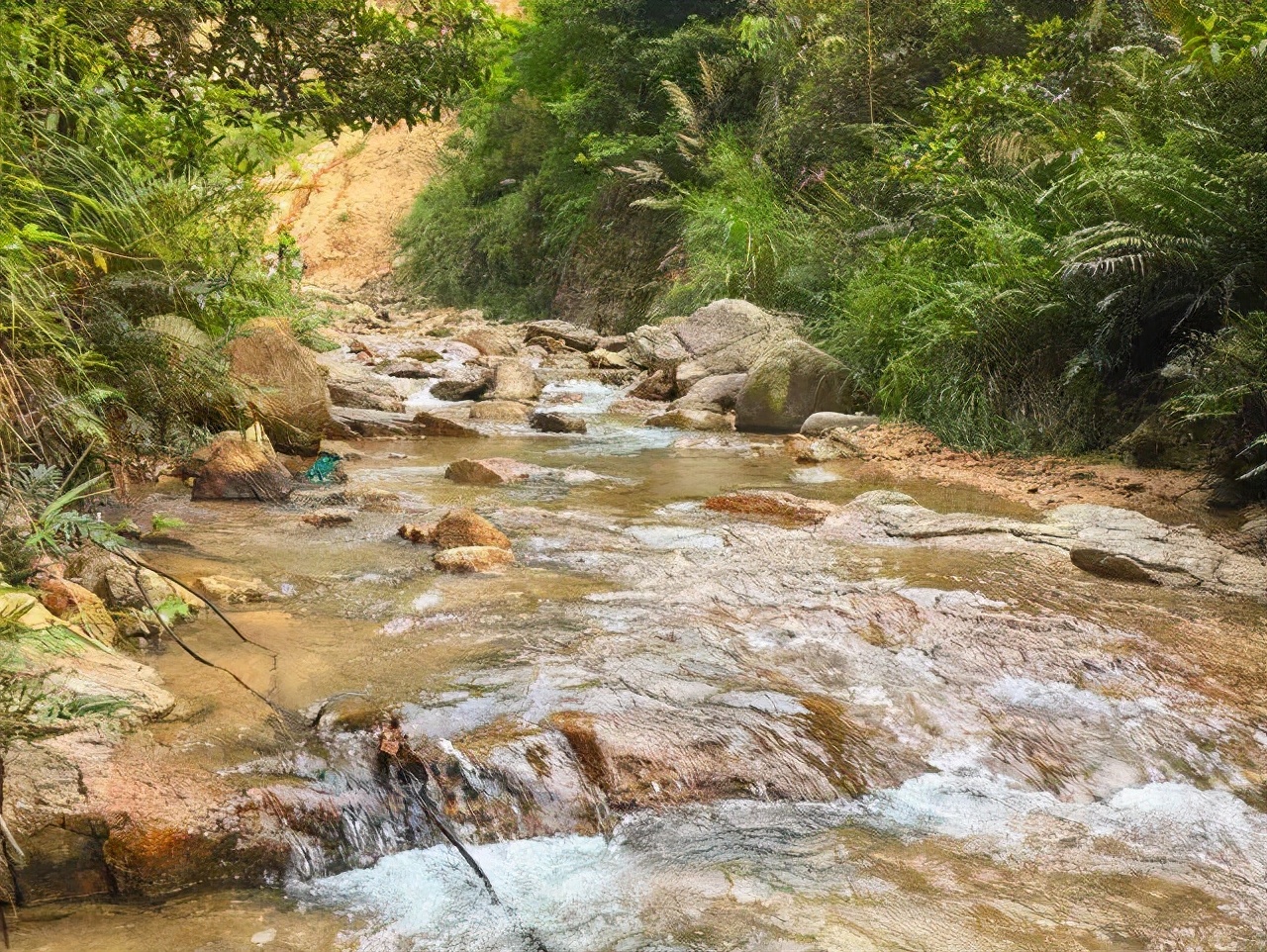 来自花东地胆小编亲测,哩滴店某得你唔食