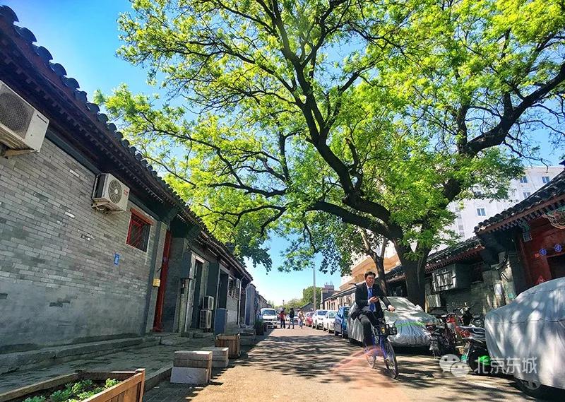 东城区发展规划,东城区文明城规划