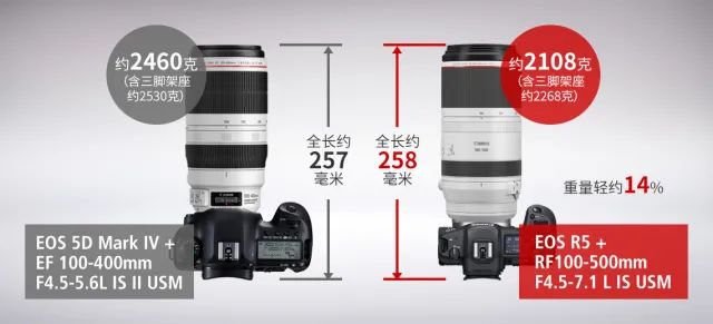 佳能rf100-500mm镜头拍鸟,佳能长焦相机100倍