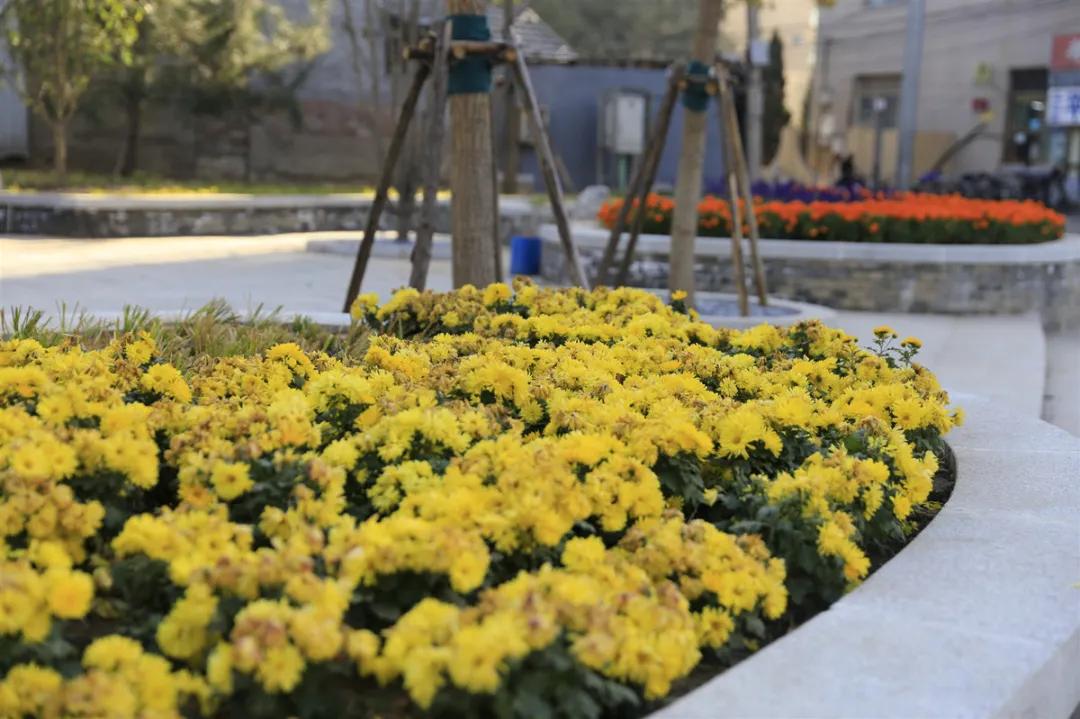 合肥市天蓝水碧土净,天蓝水碧土净