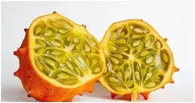 种养商机,最新致富项目养殖