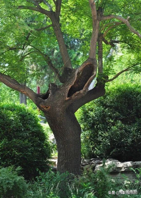 北京自由行攻略视频,北京景山公园要预约吗