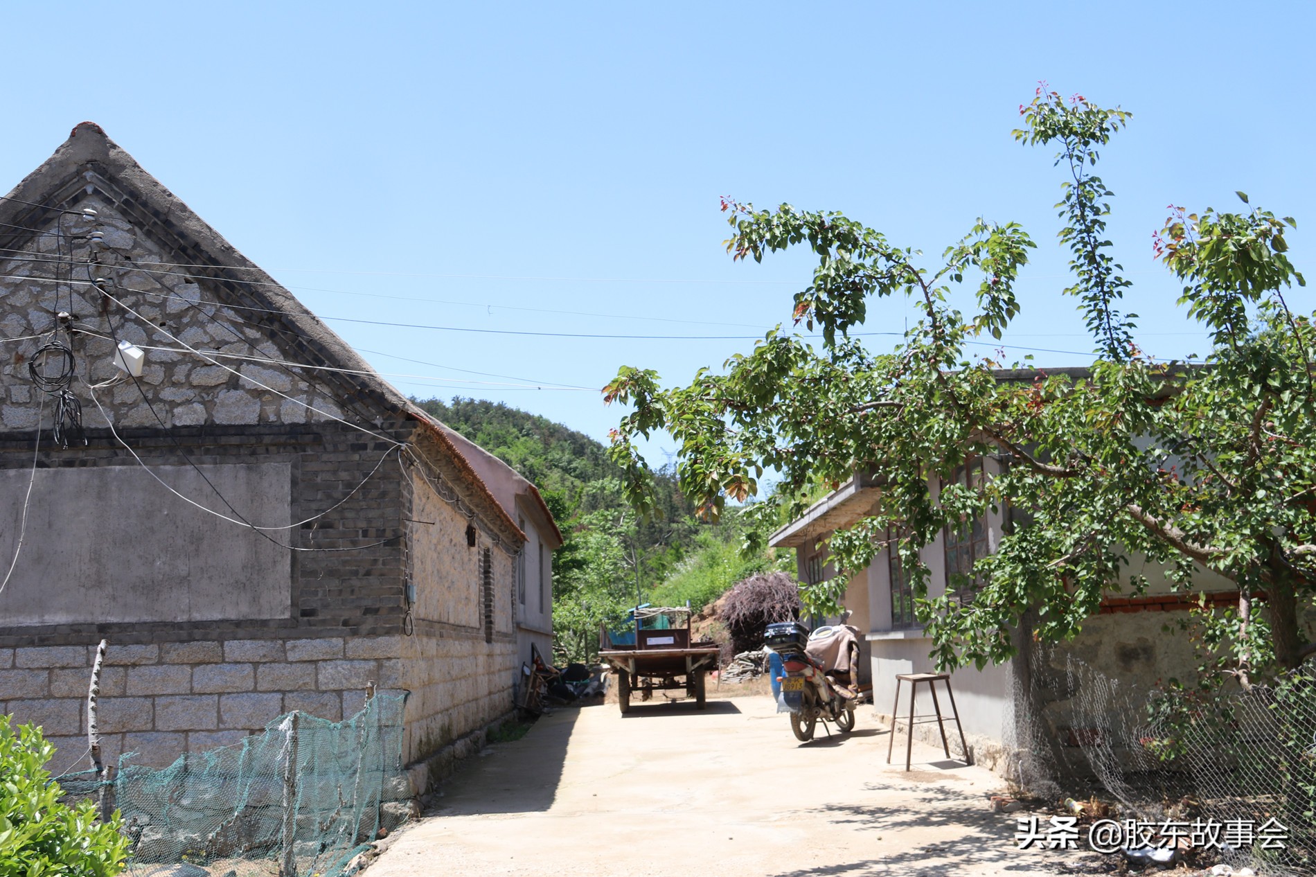 威海的文登区,山东省文登都有哪几个村