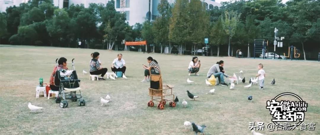 2020年，在这50个地方遇见不一样的合肥